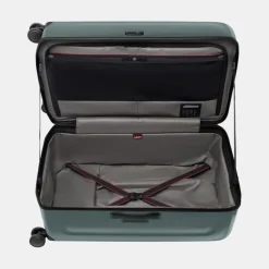 Clearance Spectra 3.0 Trunk Large Case Koffer